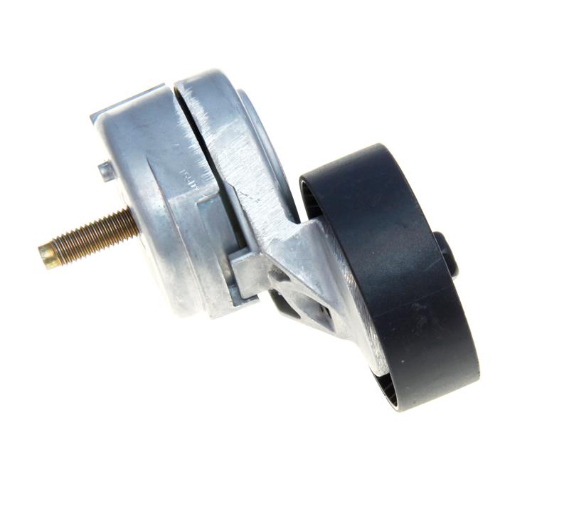 Photo - Primary