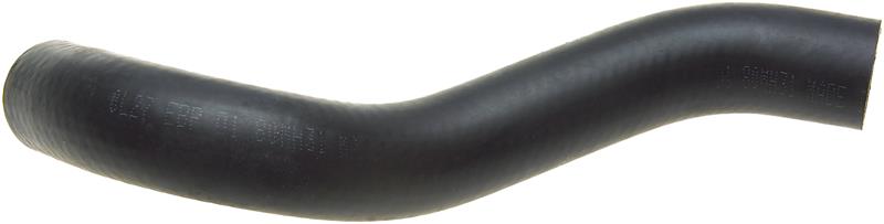 Photo - Primary