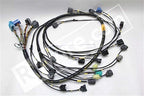 Rywire Honda S2000 AP1/AP2 (Early) Mil-Spec Engine Harness w/OEM Coils/Injector/ECU Plugs