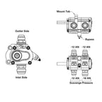 Illustration Guide